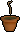 Palm sapling