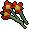 Red flowers