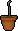 Teak sapling
