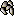 White lily seed