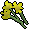 Yellow flowers